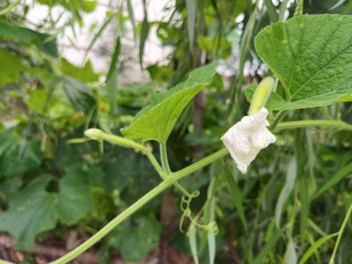 鐢板洯椋庡厜濂藉悆鍠濅笉鐢ㄦ剚,鐢板洯椋庡厜缇庨奔鑲ョɑ绫抽