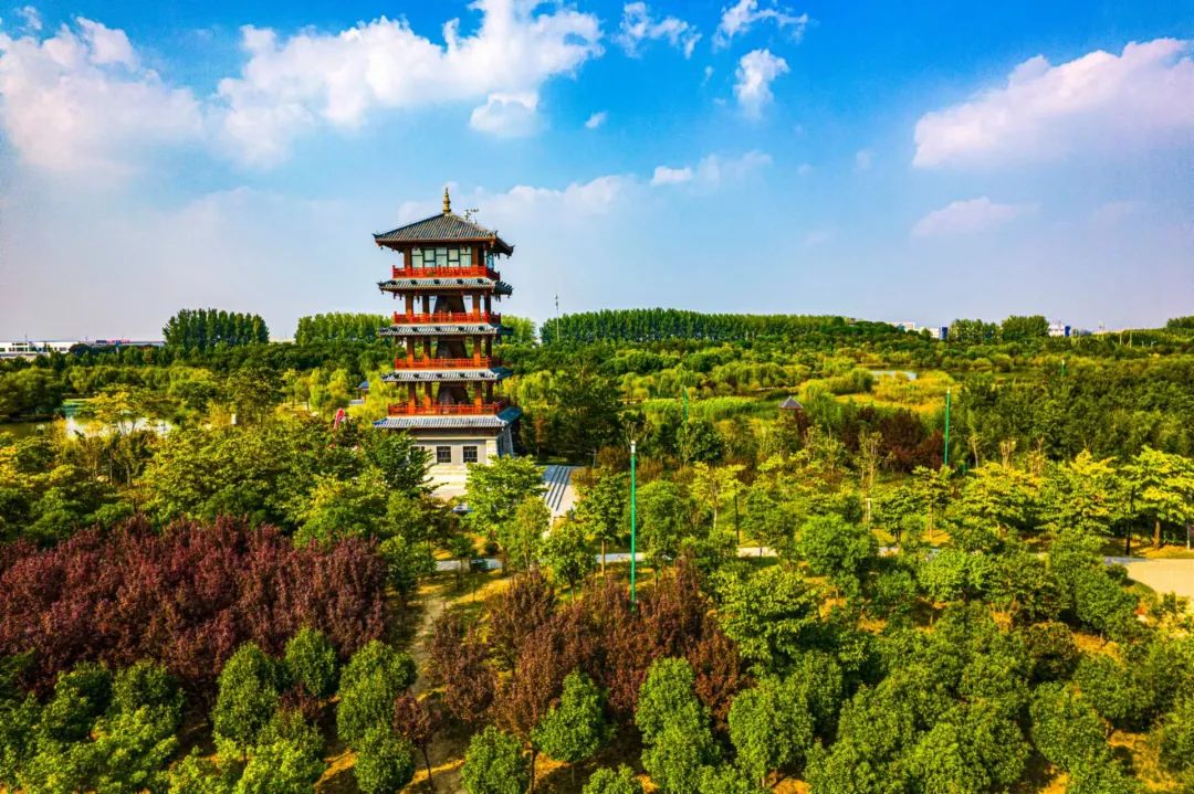 临颍最美千亩湖,临颍县千亩森林公园