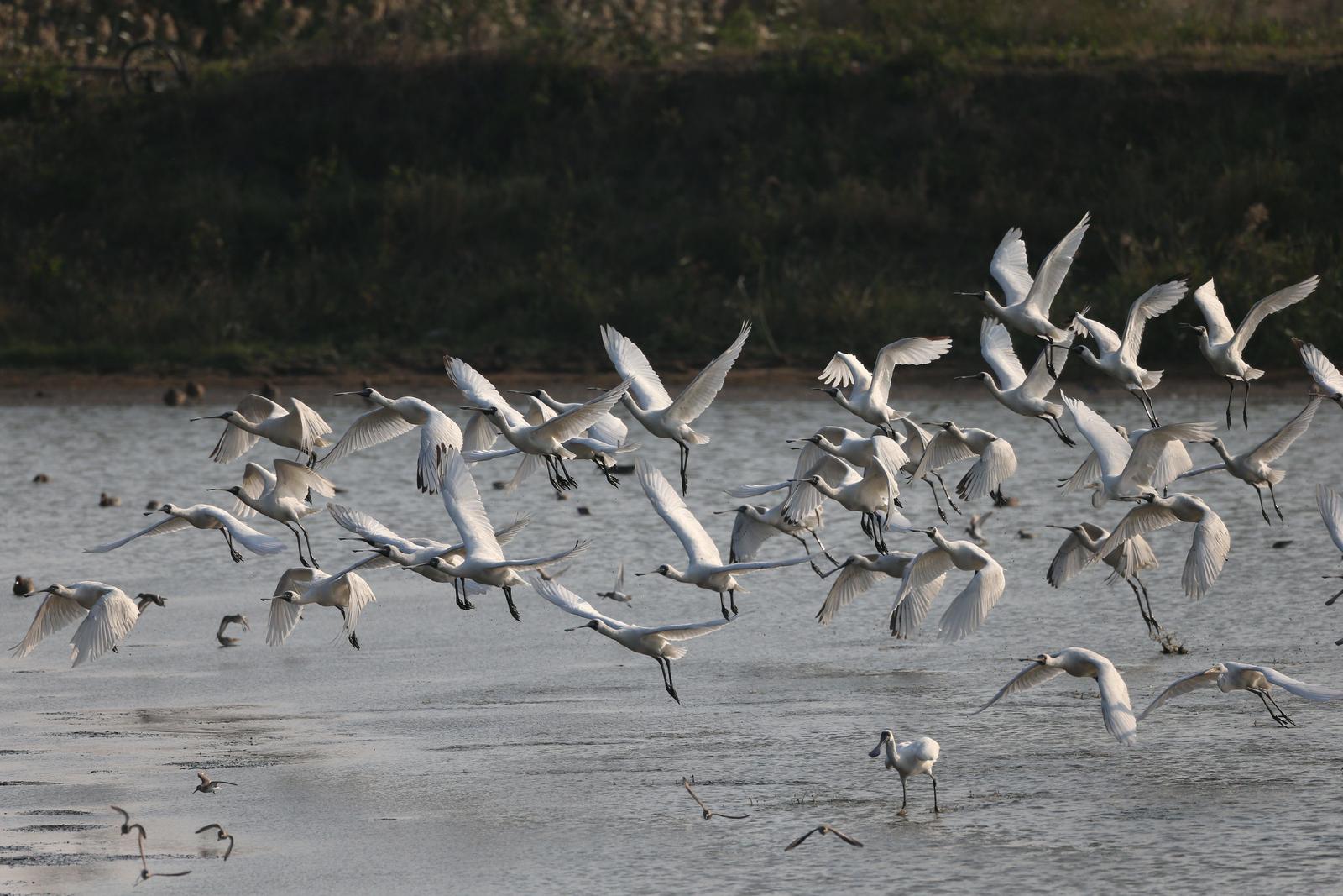闂藉紡鏂伴椈澶存潯,浠婃棩闂藉墽瀹炲喌鏂伴椈
