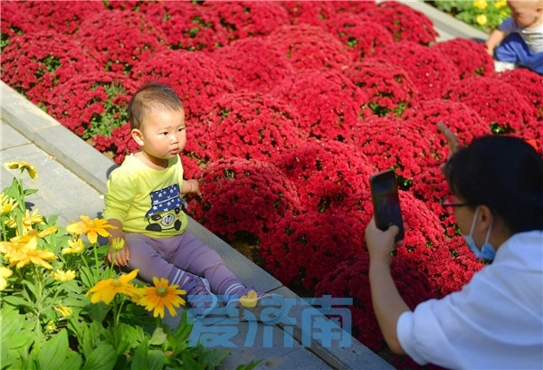 七彩花田4月游玩季,七彩花田开放时间表