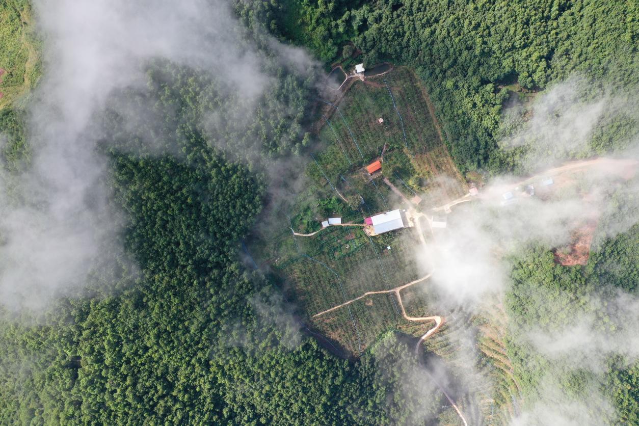 牟定农家乐和休闲农庄,牟定世外桃源山庄