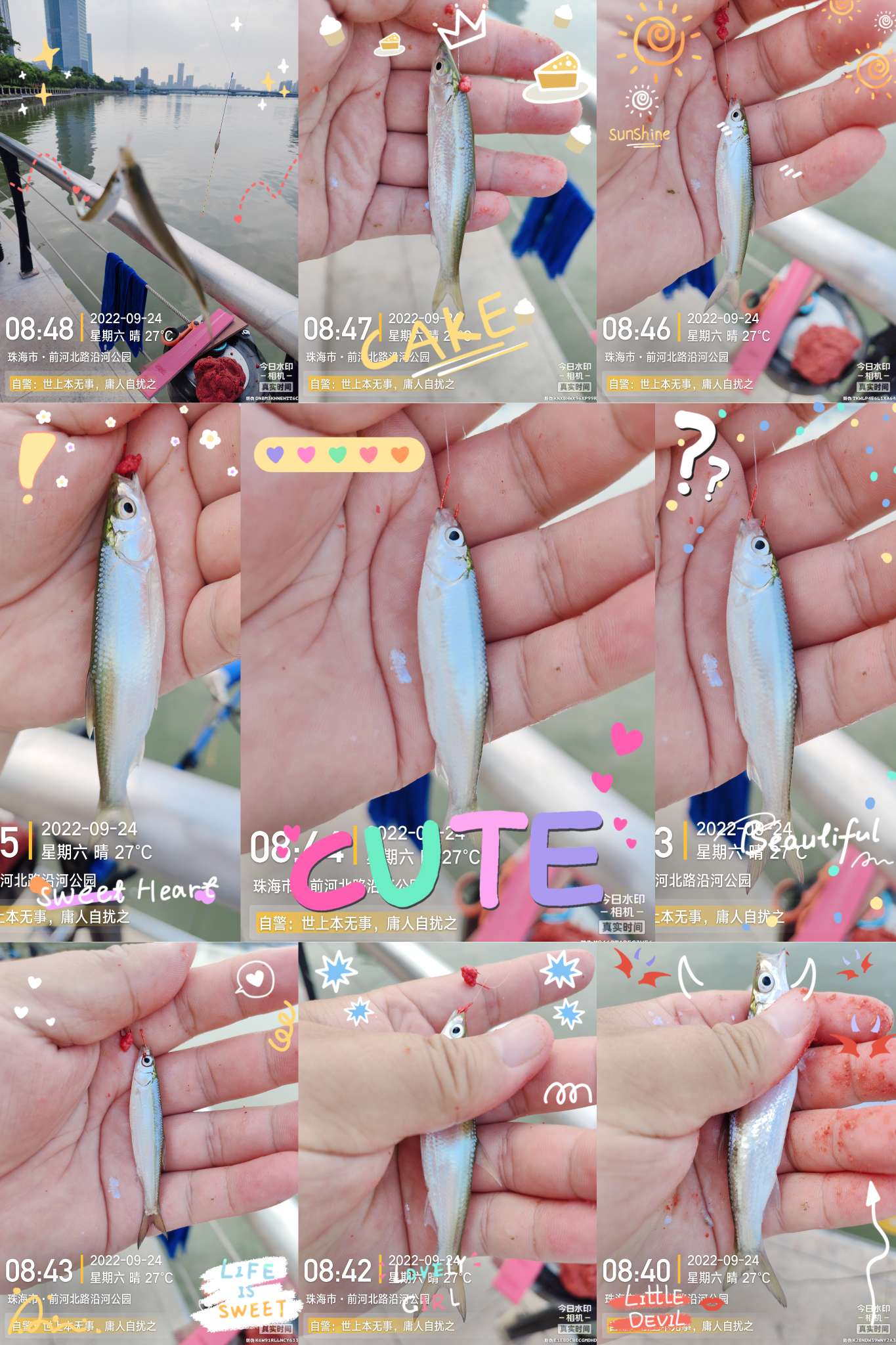 新线组,新型台钓线组