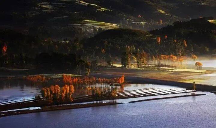 昆明最美的秋天,别眨眼带你看花海