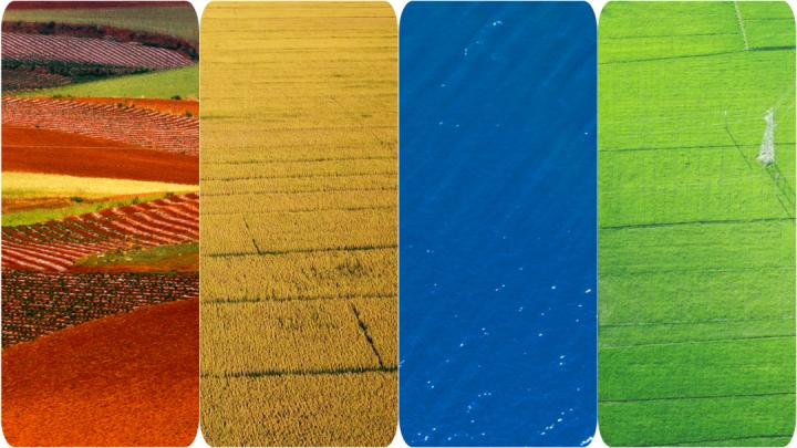 昆明最美的秋天,别眨眼带你看花海