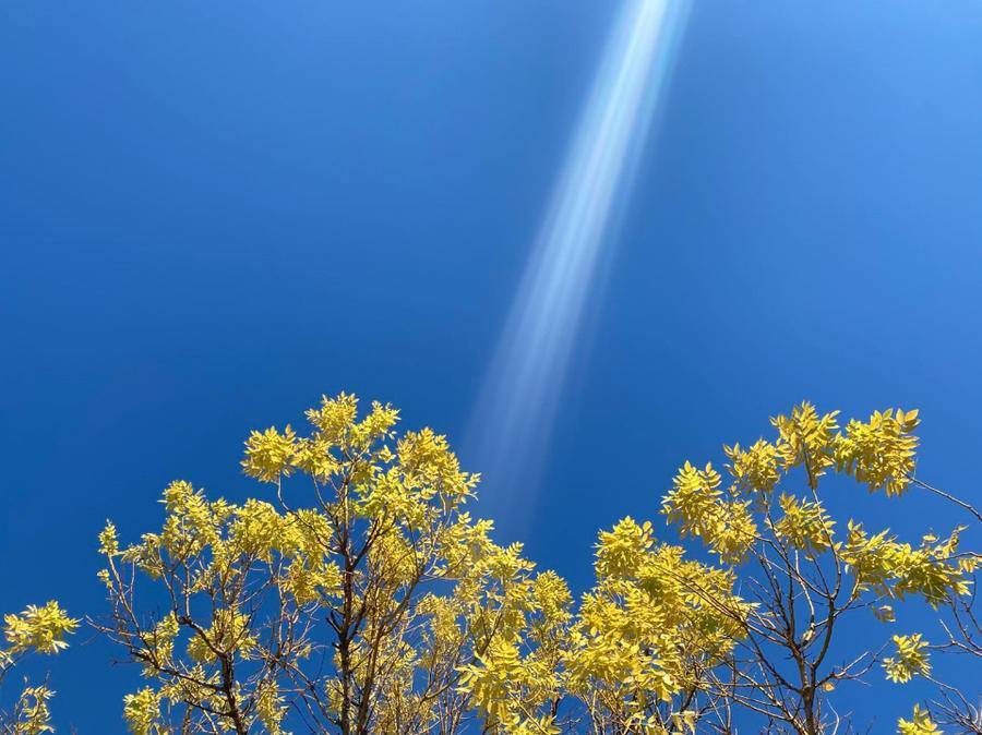 山东十大最美校园,山东最美校园大学