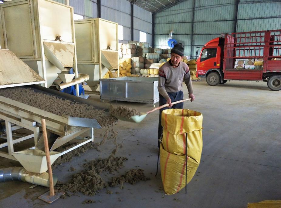 黄山口乡：念好致富“本草经”