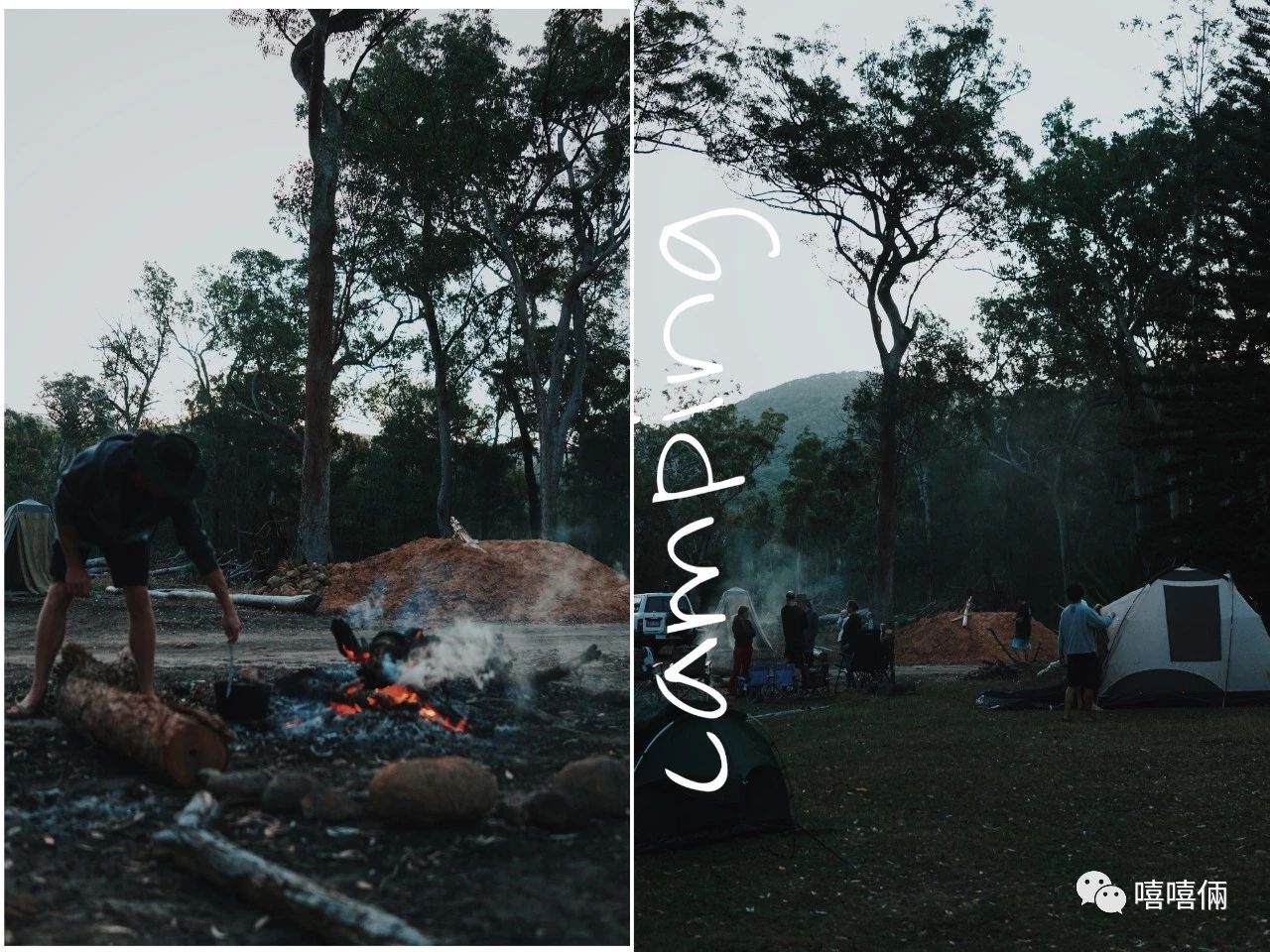 澳大利亚摘葡萄一个月能挣多少钱,澳大利亚农场打工女孩