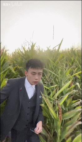 在星际穿越的玉米地摇花手,成了新的互联网荒诞艺术