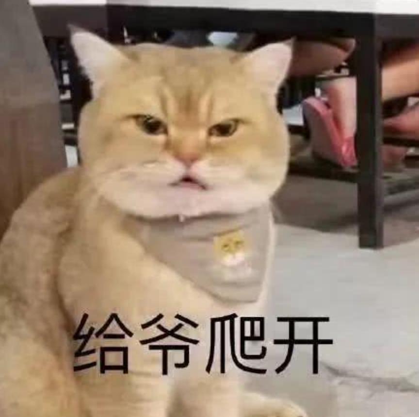 摸鱼三分钟完整版,摸鱼三分钟完整视频