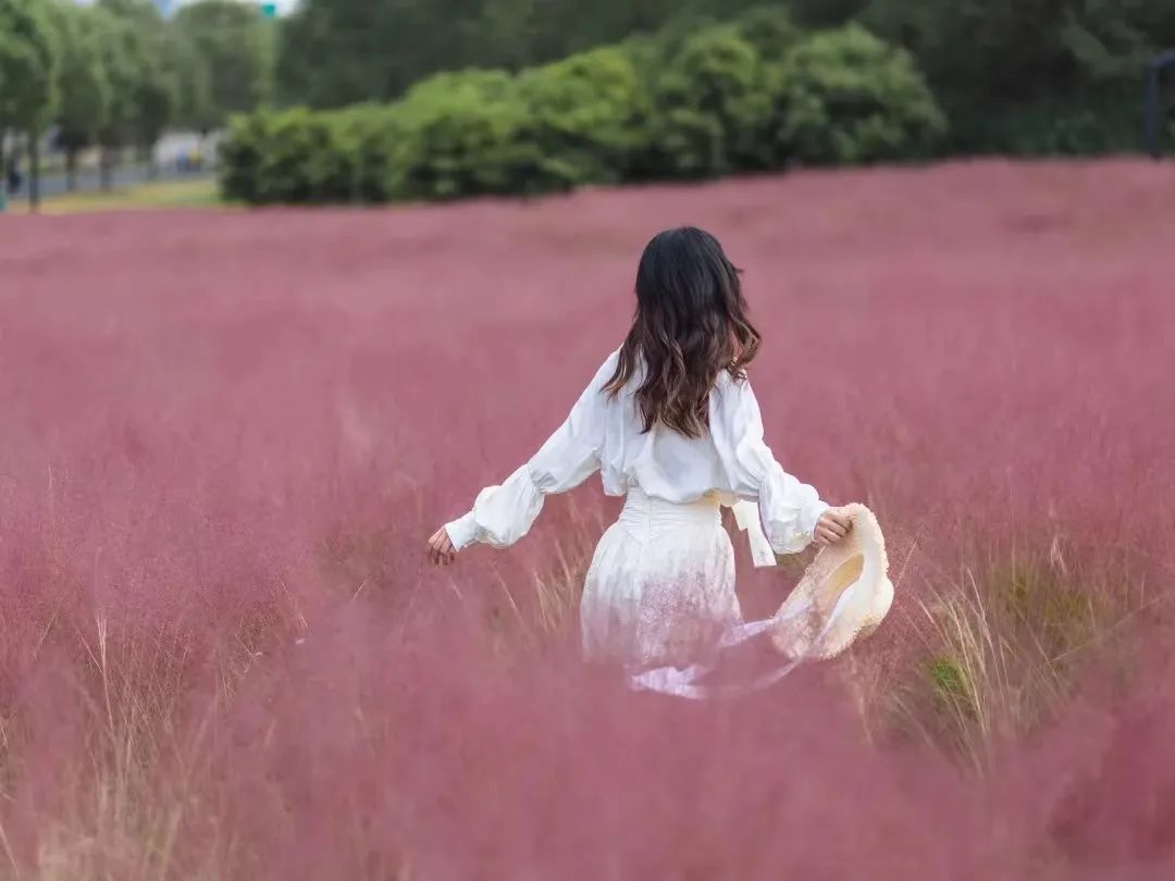 这样美的吴江，从何而来？