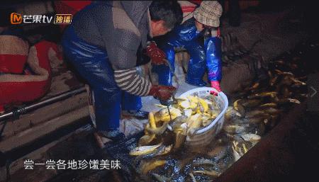 人是越来越红了，精神越来越不“正常”？