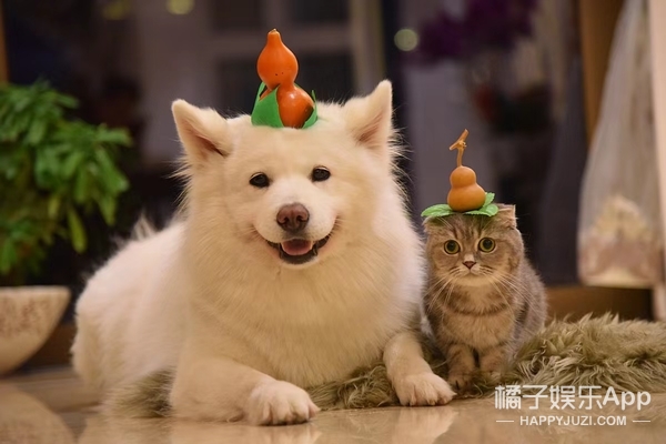 还记得“回忆专用小马甲”博主吗？他现在谈恋爱了？