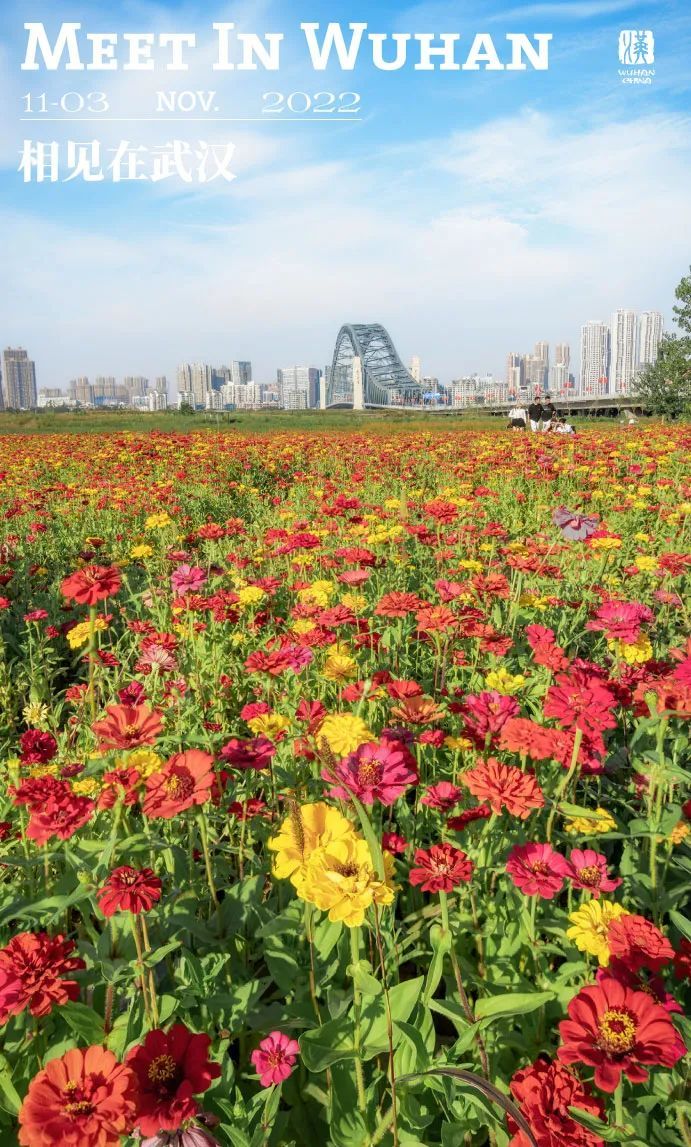 怎么拍一片花海,一片花海怎么拍