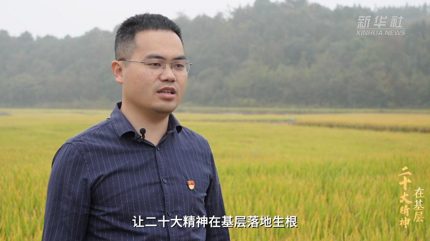 宁乡喻家坳乡栀子小镇,宁乡移动助力栀子小镇