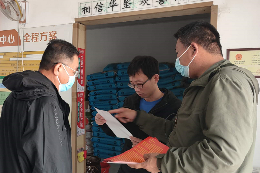 山东大姜放在地窖可以储多久,冬季储存嫩姜