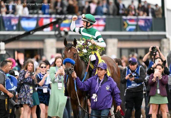 世界最快的马前三,世界第一快马拉松