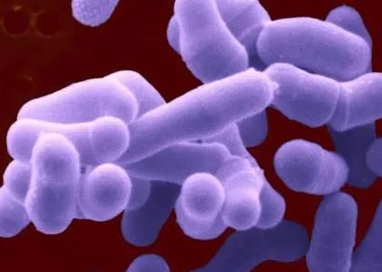 吃剩菜导致拉肚子用什么药,吃剩菜拉肚子的危害