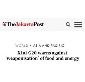 G20巴厘岛峰会习*平近**为全球发展给出中国答案