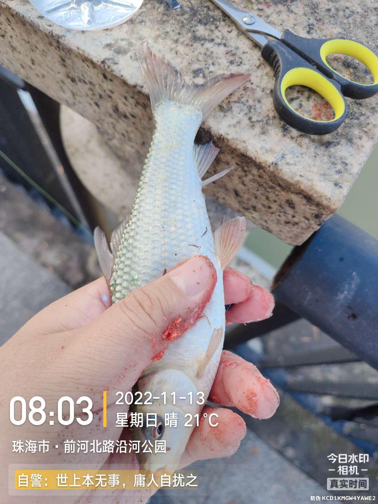 刷新了对钓鱼的认知,钓鱼的十个思维方法