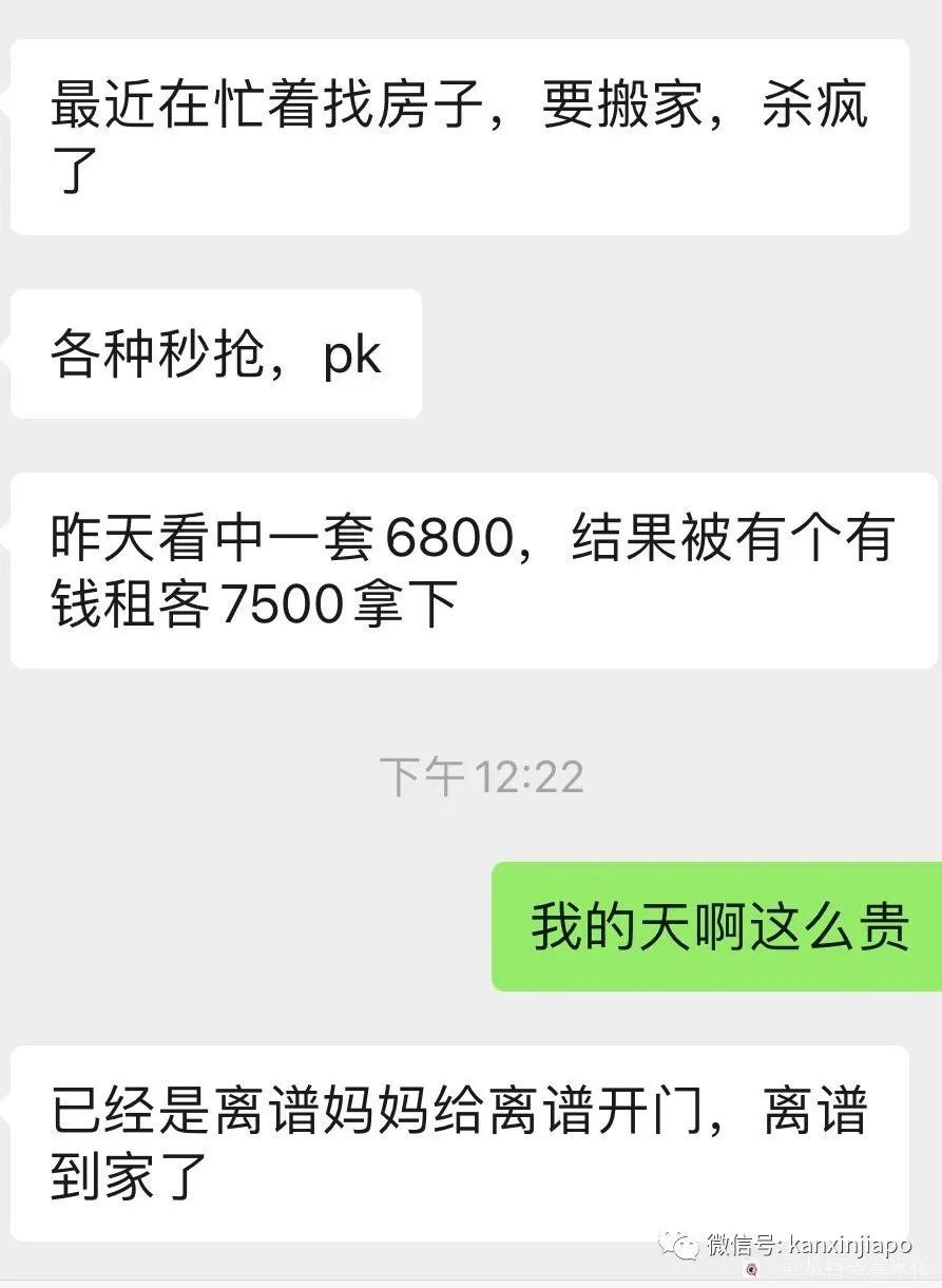 新加坡“真香”背后的现实,新加坡真的不好吗