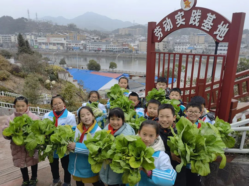 “双减”下的宜城实践