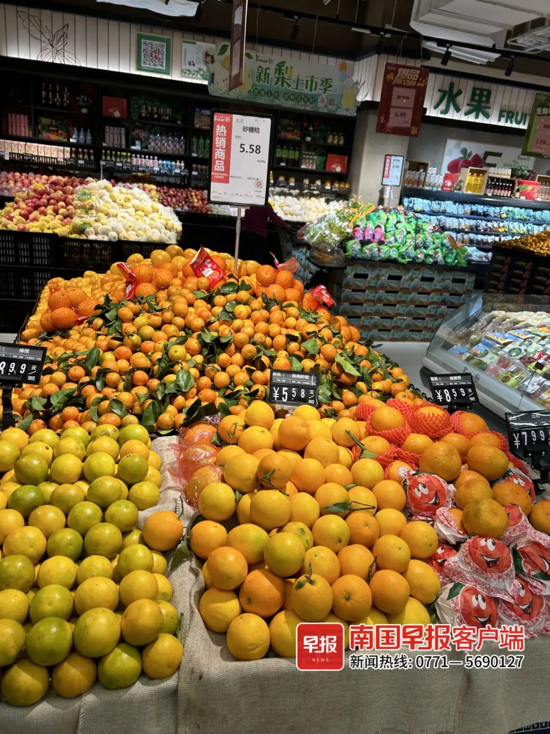 广西砂糖橘子今日价格,广西近日沙糖桔多少钱一斤