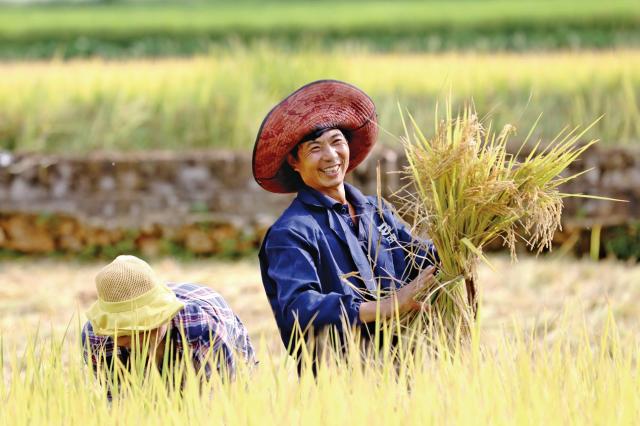 拼多多三季度营收同比增长7倍,拼多多第二季度实现营收314.4亿