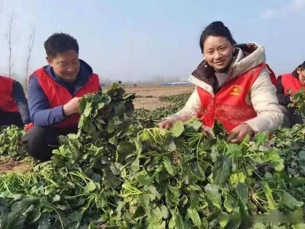 志愿服务统一穿红马甲,志愿者红马甲行动