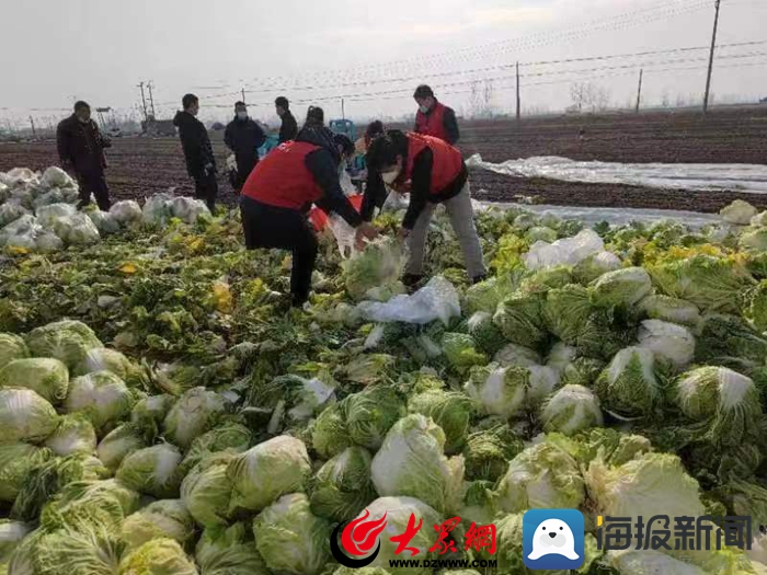 菏泽脱水蔬菜收购,70万斤滞销南瓜送环卫工人