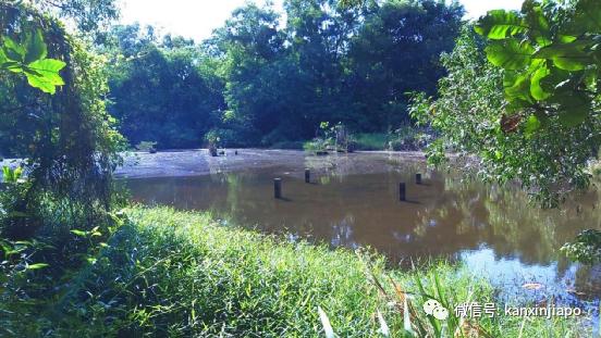 新加坡骑行攻略,新加坡适合骑行的地方