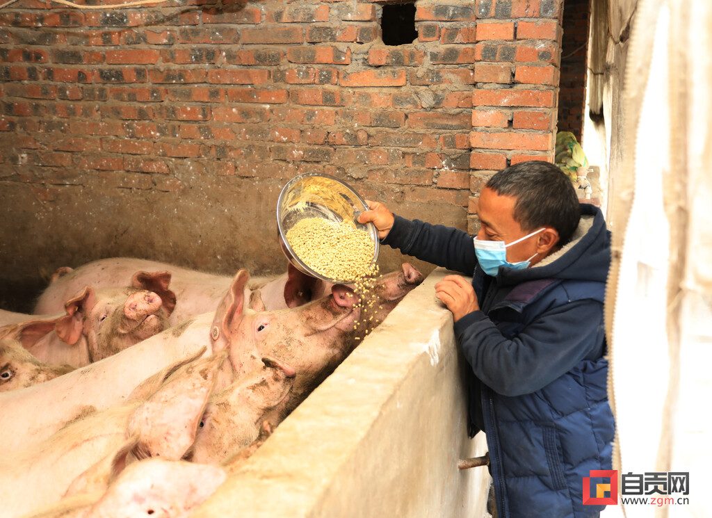 “袖珍果王”胡国权的生意经：动动手指发发“朋友圈”便销路不愁