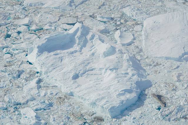 北极旅游的真实感受和体会,敬畏自然敬畏生命心得体会