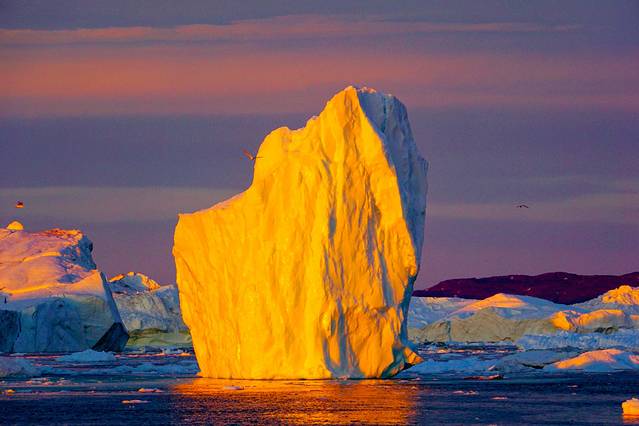 北极旅游的真实感受和体会,敬畏自然敬畏生命心得体会