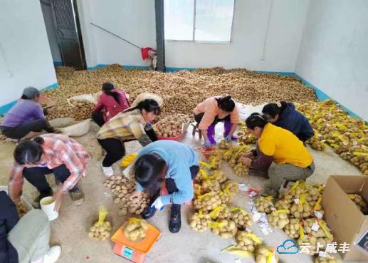 产业兴农村旺,产业兴旺助振兴