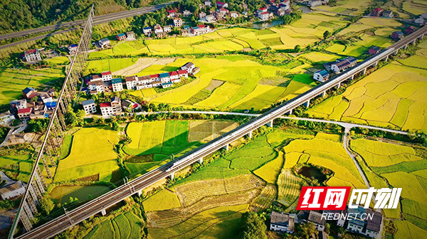 乡村振兴乡村蝶变,衡山县乡村振兴