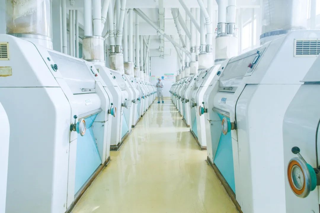 小麦粉国家标准和企业标准,小麦粉国标和企业标准