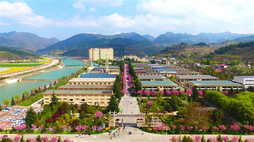 金徽酒最新重要消息,金徽酒为何逆袭