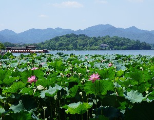 春节期间云南省旅游市场强势复苏,云南实现旅游总收入6934亿元