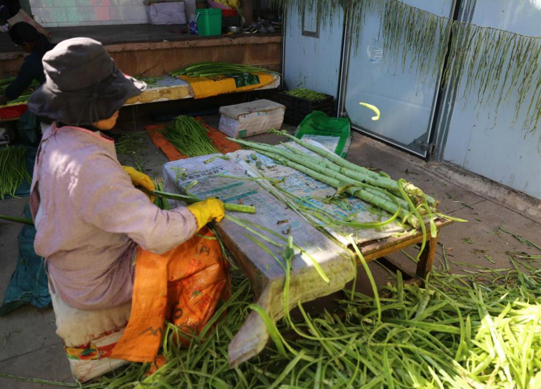 冬季也能鼓起钱袋，“奥秘”就在它！