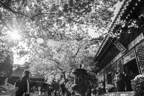 閲戦姰娈块緳妞呯殑鍘嗗彶,閲戦姰娈跨殑鍘嗗彶鏁呬簨