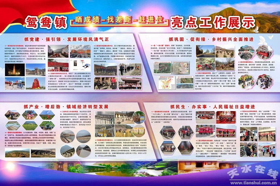 武山县重点工作会议,武山县乡村振兴四个一批