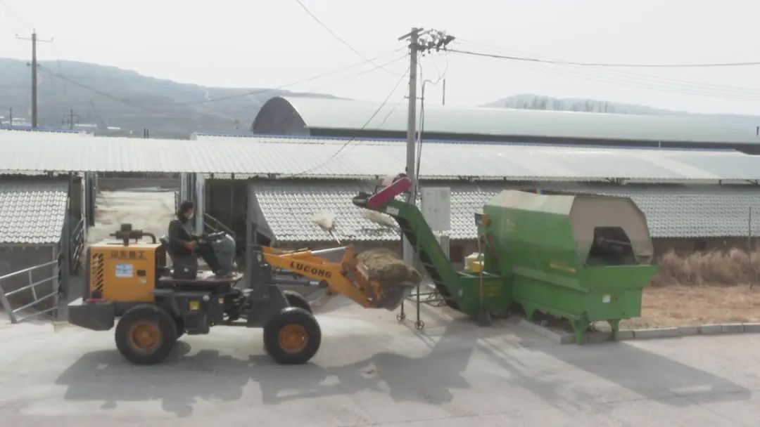 农牧区肉牛产业扶贫,发展肉牛产业乡村振兴