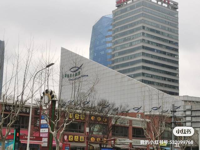 上海4天游玩小孩攻略,带娃上海3天2晚旅游攻略