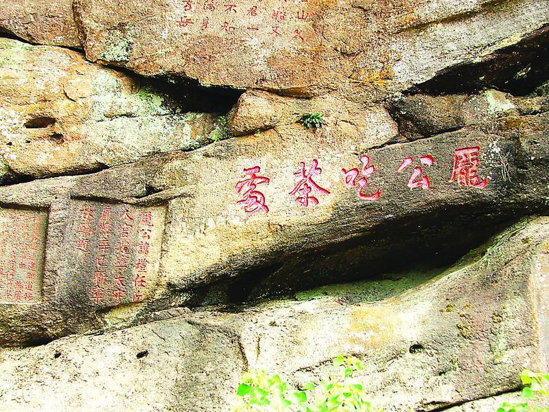 品味武夷山茶文化的理想之地,武夷茶文化历史简介