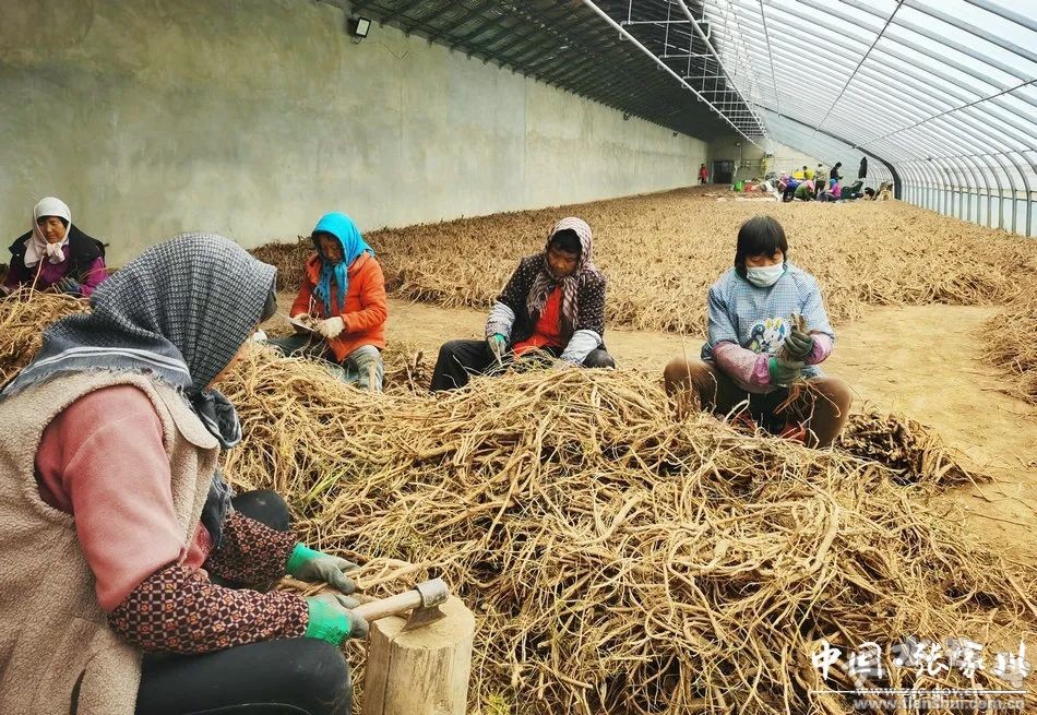 关岭县中药材产业园项目,马关县招商引资项目