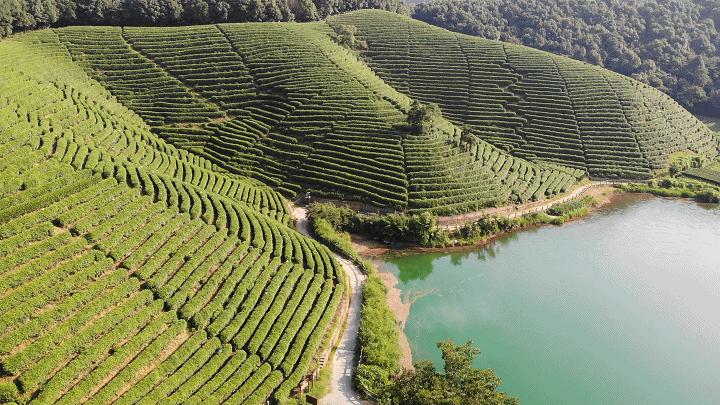 杭州出发郊外骑行路线推荐,杭州龙井骑行路线推荐