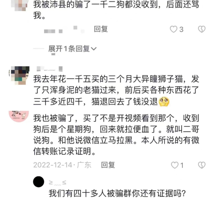 宠物线上代购主播背后的圈套：谁演得好谁就赚得多