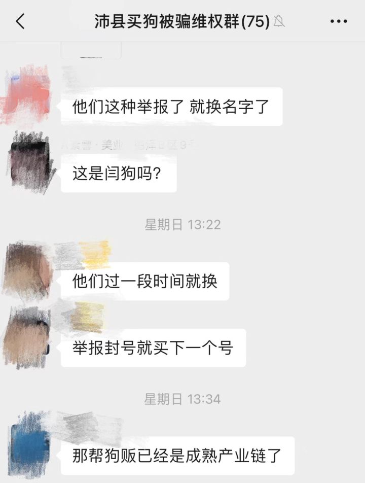 关于宠物行业经营乱象的新闻,宠物乱象