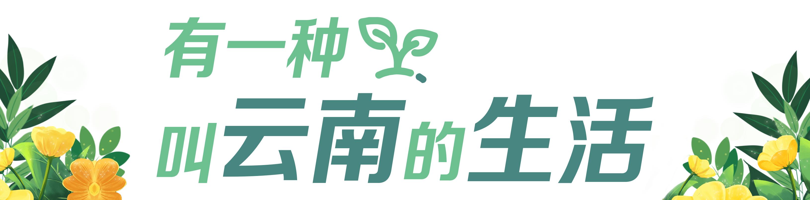 @高考学子，“特种兵式”打卡云南美食，攻略来了！【上篇】