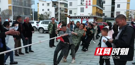 茶乡花海：十三乡融出一个村花海里同唱一首歌